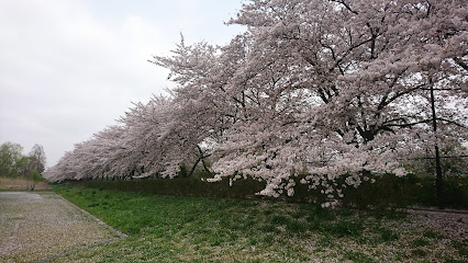 Nanasato Park