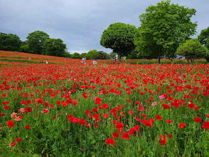 Showa Kinen National Park