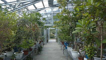 Green house
