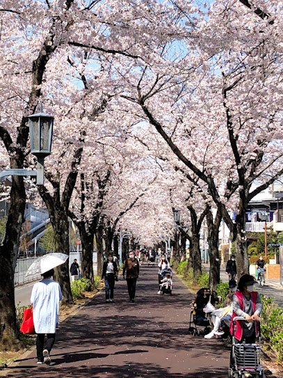 Promenade with flower and greenery