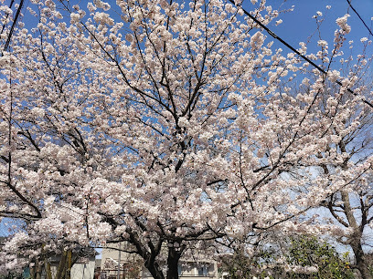 Ohanajaya Park