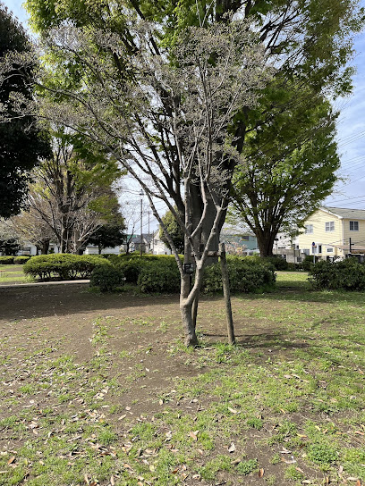 Renjaku Central Park