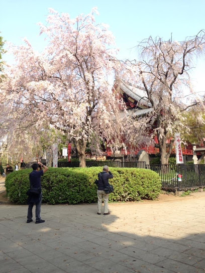 Ueno Park