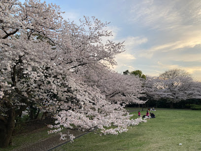 Honmoku Sancho Park