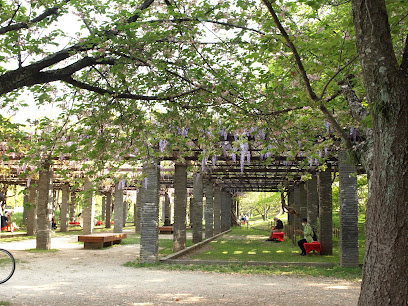 Wisteria Trellis