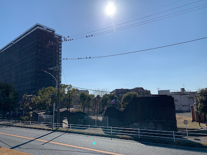 Nakanoshima Central Park