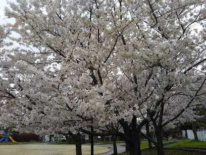 Dainichi Park