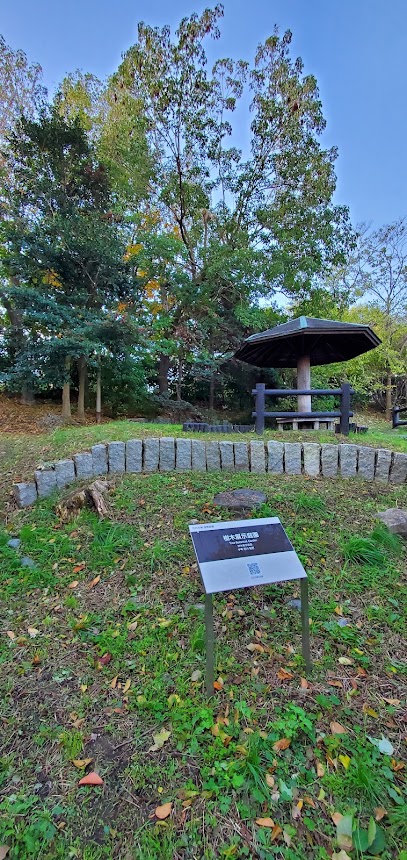 植樹展示庭園