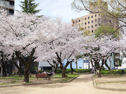 Sorazaya Park