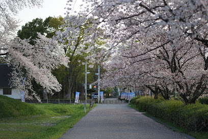 Sakitama Kofun Ancient Tomb Park