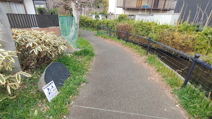 湧水の道