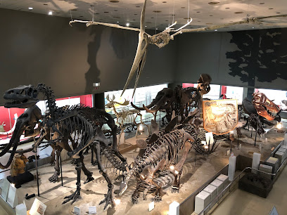 Osaka Museum of Natural History