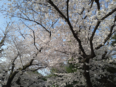 Sakaechō Park