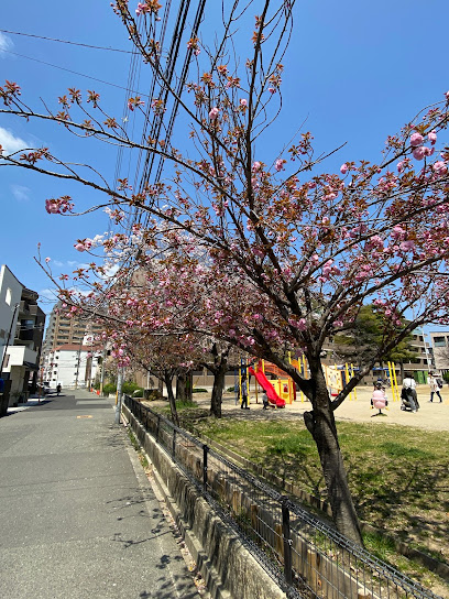Chokoji Park