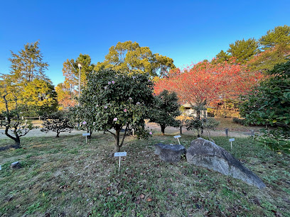 Camellia Garden