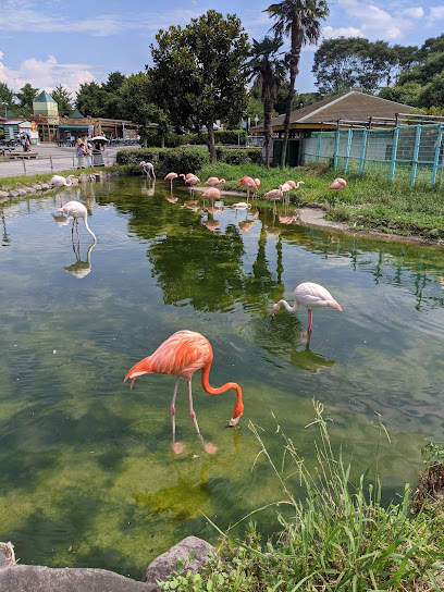 Tobu Zoo
