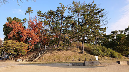 桜塚古墳群東群