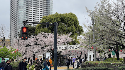 Kawazu cherry blossoms in Kinshi Park
