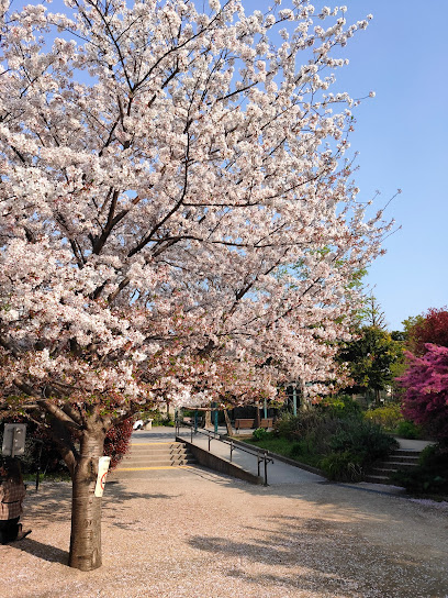 Nakano Kuritsu Sakurayama Park