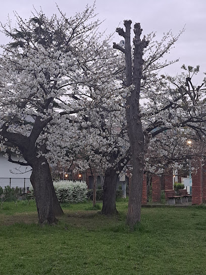 Shogetsu Park