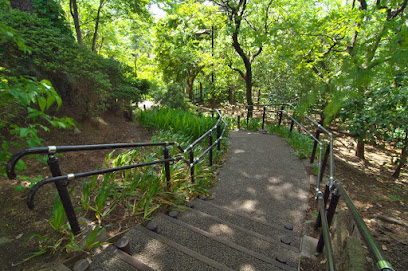 Seijo 4-Chome Park