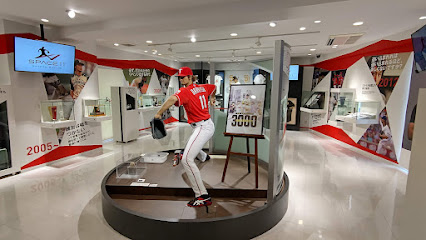 Darvish Museum