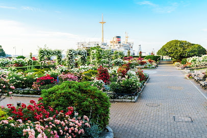 Snow Rose Garden