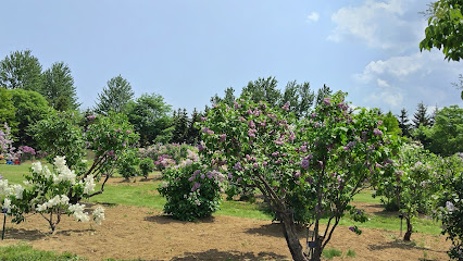 Kawashimo Park