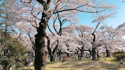 Koganei Park Service Center