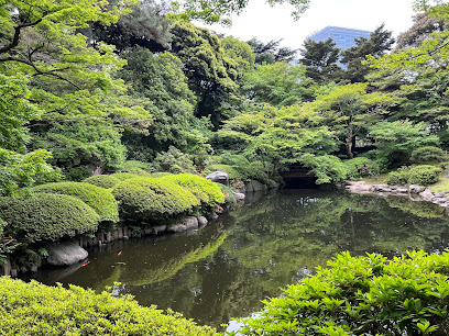 Tokyo Metropolitan Teien Art Museum - Japanese Garden