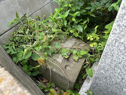 馬頭観音