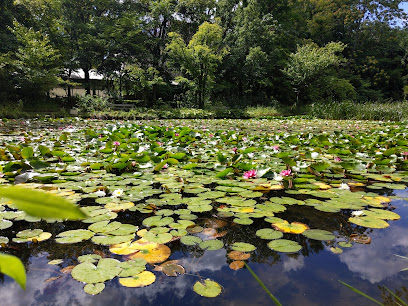 Ōno Pond
