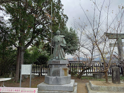 目薬の木