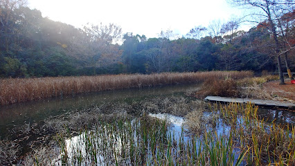 Biotope Pond