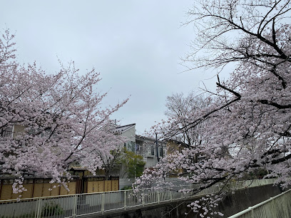 Tsukayama Park