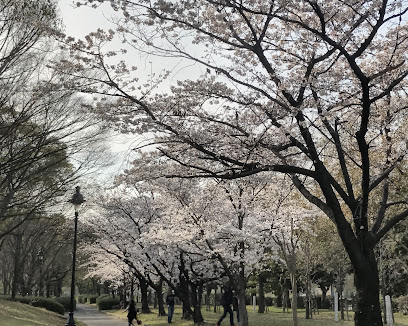 Peace forest