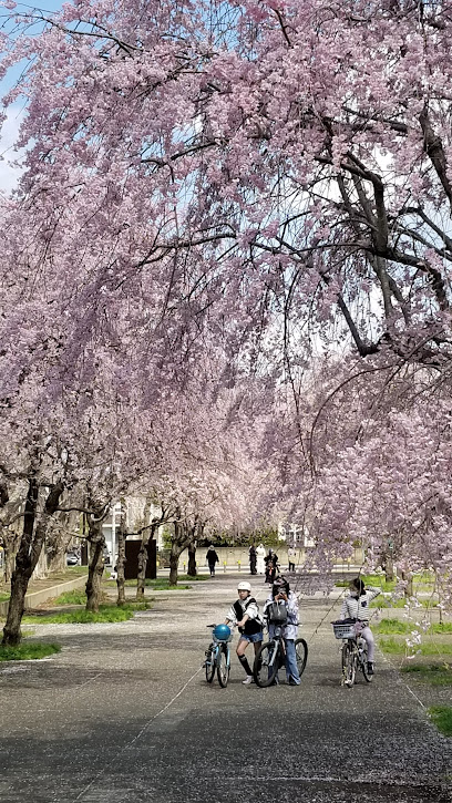 Koganei Park North Entrance