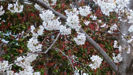 Shiroyamacho 1-chome Park