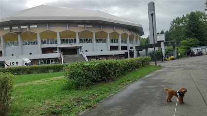 Makomanai Park