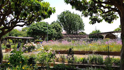 Flower Land