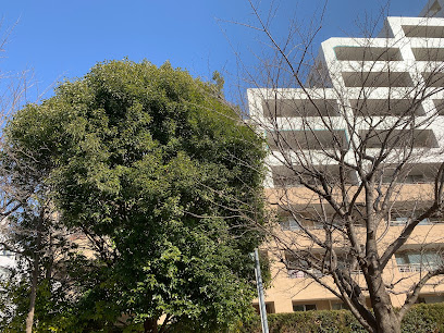Yato Nichome Dai 1 Park