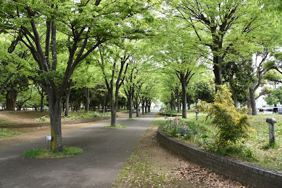 Irifune Park