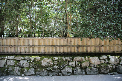 Bamboo Fence