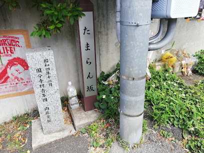 Tamaran-zaka