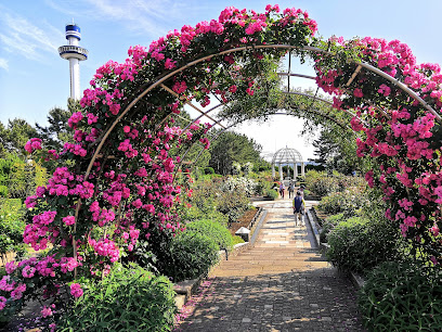 Rose Garden