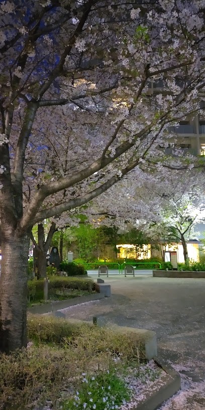 Taito Kuritsu Kikuyabashi Park