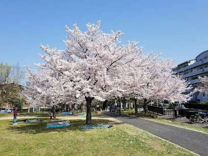 ふれあい緑地6街区