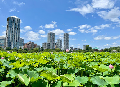 Shinobazu Pond