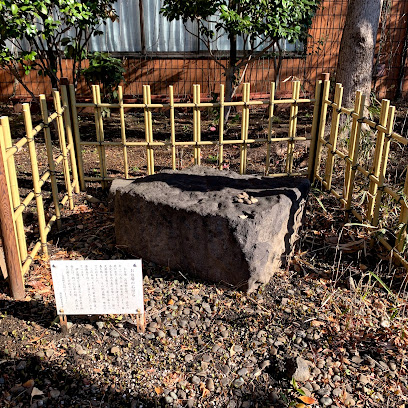 A stone of the stonewall of Odaiba