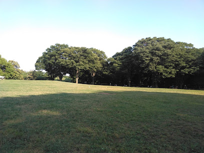 神代植物公園24号地